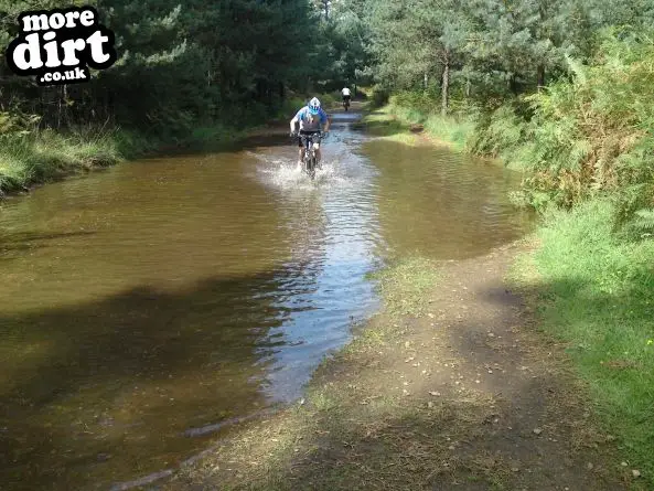 Swinley Forest Mountain Bike Centre