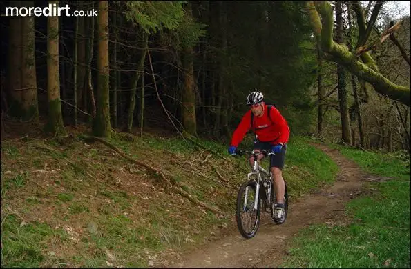 Penhydd Trail -  Afan Forest