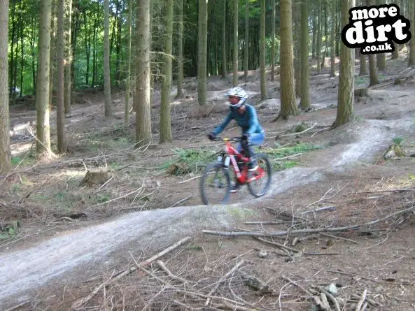 Rogate Downhill Mountain Bike Park