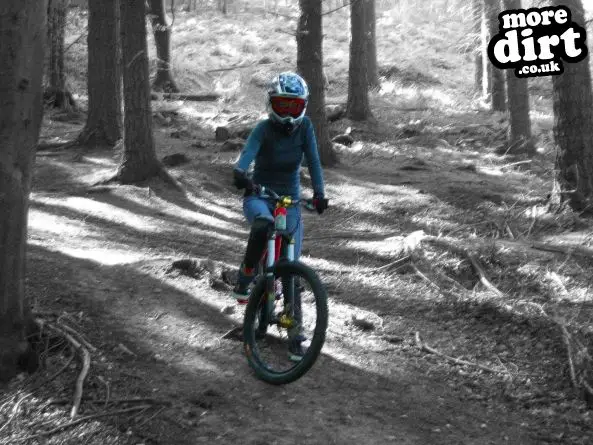 Rogate Downhill Mountain Bike Park