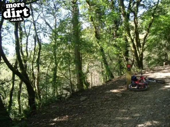 The Wall Trail - Afan Forest