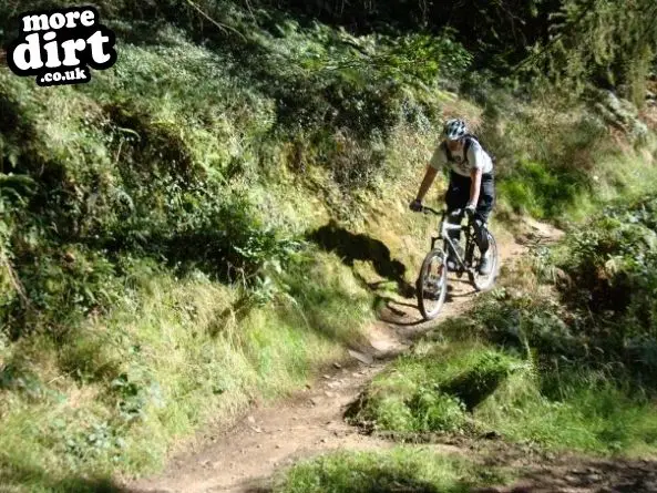 The Wall Trail - Afan Forest