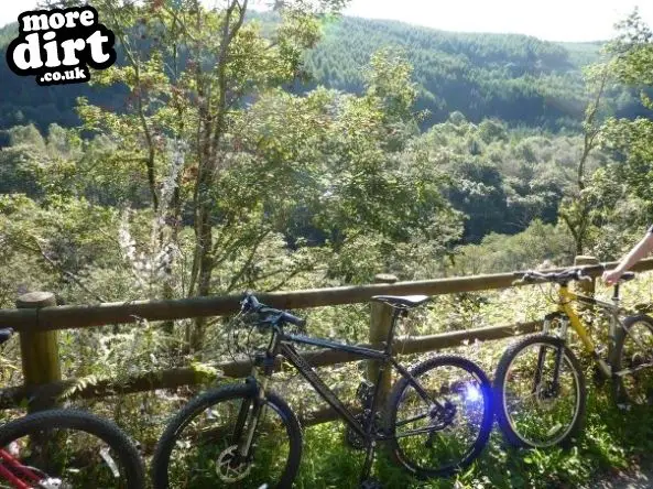 The Wall Trail - Afan Forest