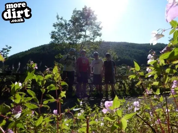 The Wall Trail - Afan Forest