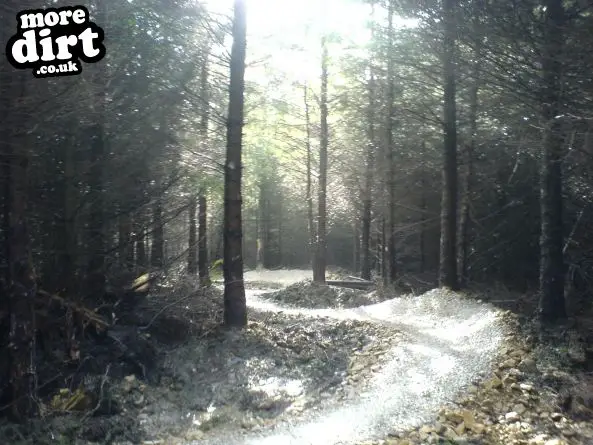 Gisburn Forest Mountain Bike Trails