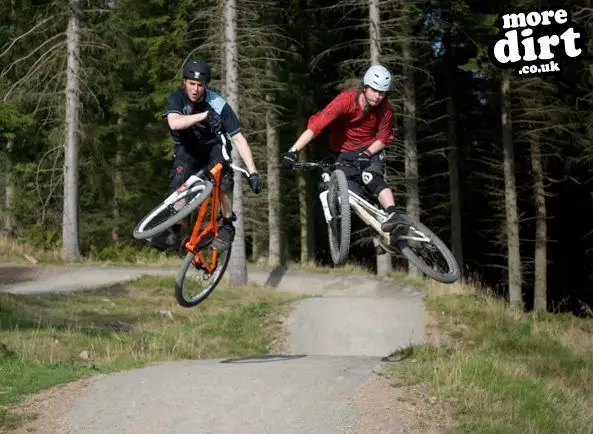 Freeride Park - Glentress