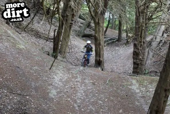 Detling Hill - North Downs Way