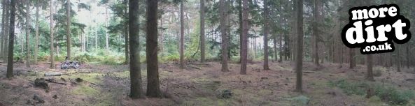 Bedgebury Forest Mountain Bike Trails