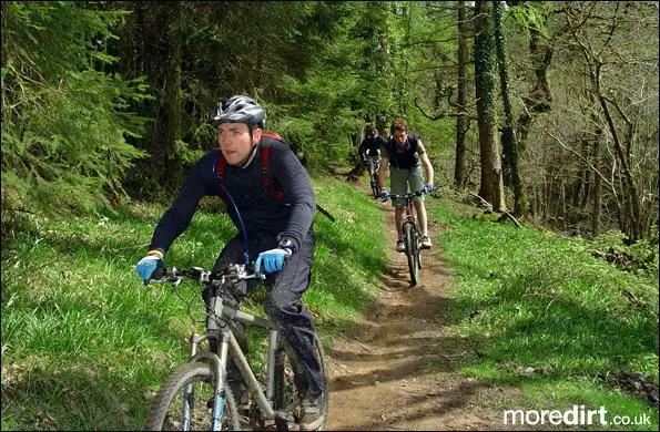 Penhydd Trail -  Afan Forest