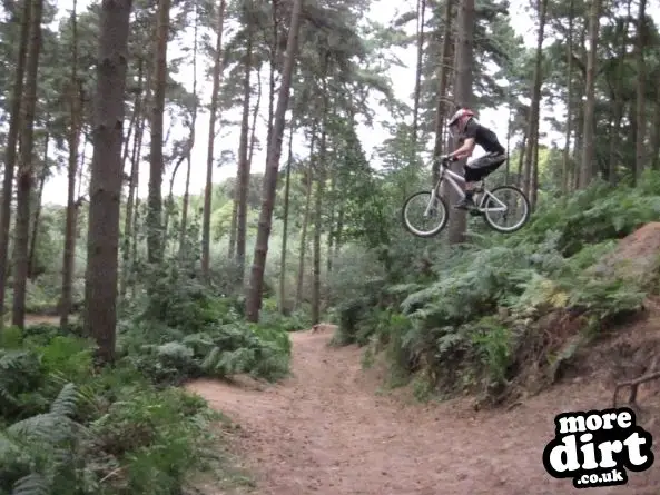 Woburn Bike Park