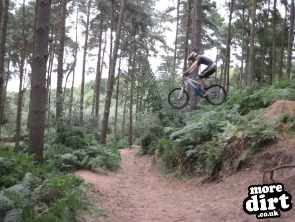 Woburn Bike Park