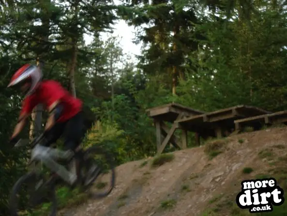 Freeride Park - Glentress