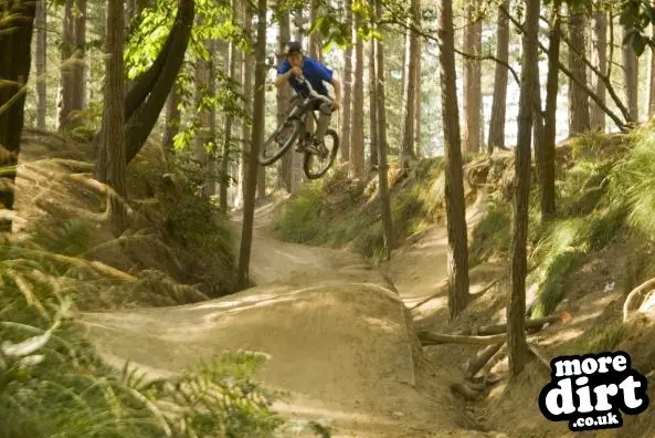 Swinley Forest Mountain Bike Centre