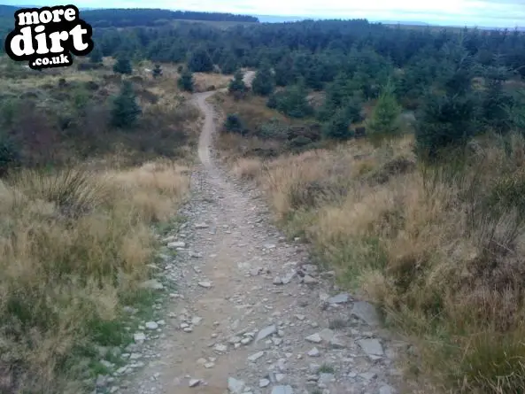 Twrch Trail - Cwmcarn