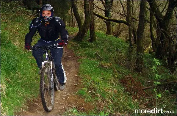 Penhydd Trail -  Afan Forest