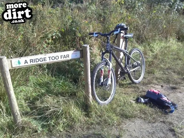 Penhydd Trail -  Afan Forest