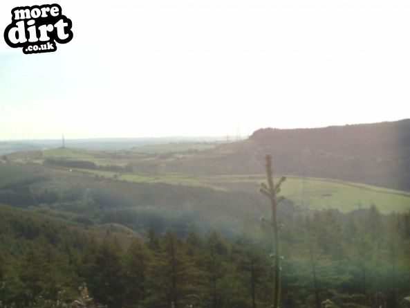 Penhydd Trail -  Afan Forest