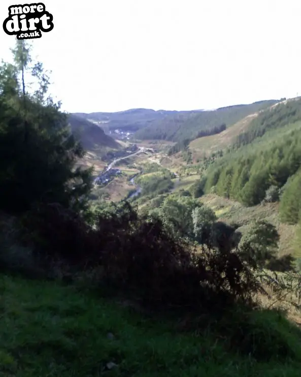 Whites Level Trail - Afan Forest