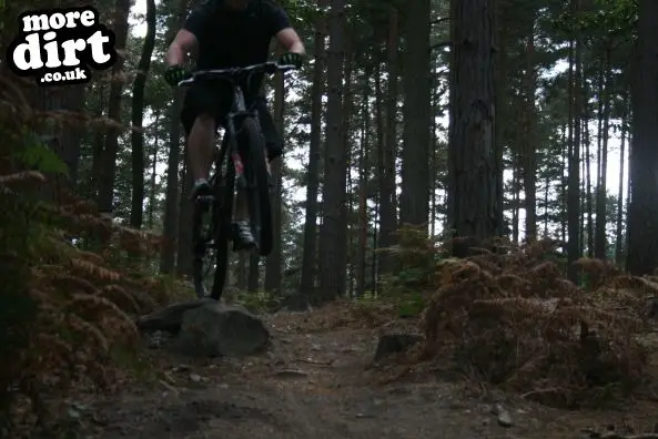 Swinley Forest Mountain Bike Centre