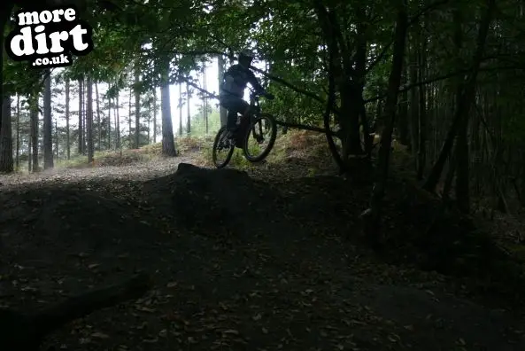 Swinley Forest Mountain Bike Centre