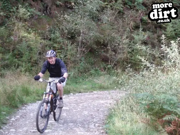 Red Trail - Coed Llandegla Forest