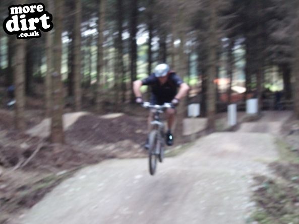 Black Trail - Coed Llandegla Forest