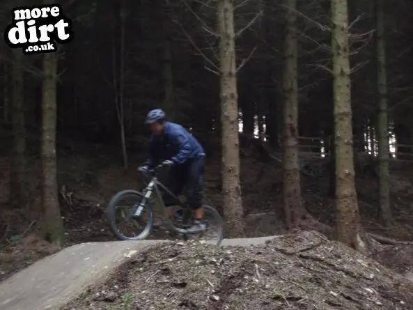 Black Trail - Coed Llandegla Forest