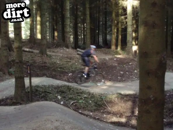 Black Trail - Coed Llandegla Forest