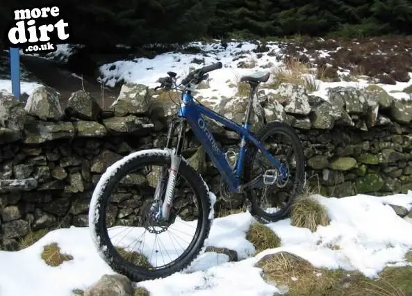 The Red Trail - Glentress