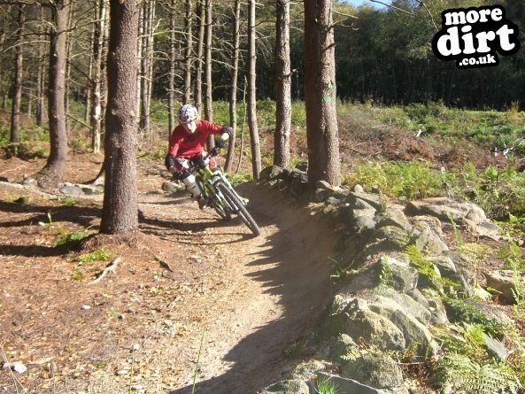 Descent Line Trail - Stainburn Forest