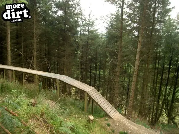 Black Trail - Coed Llandegla Forest