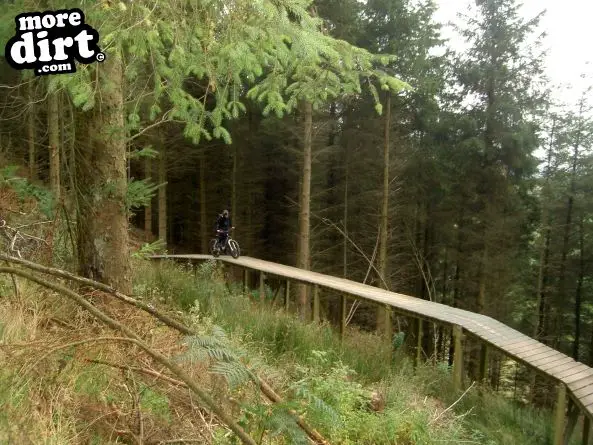 Black Trail - Coed Llandegla Forest