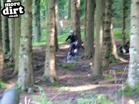 The Wall Trail - Afan Forest