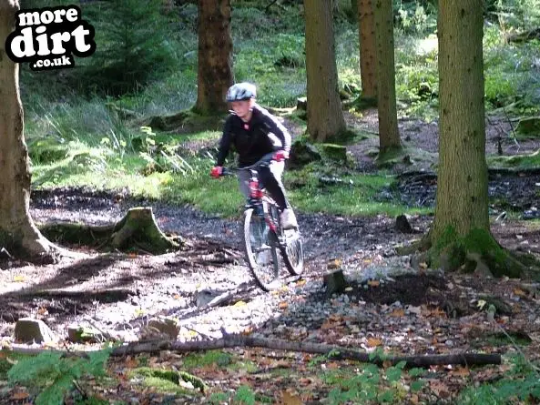 The Wall Trail - Afan Forest