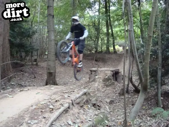 Ribbesford Bike Park