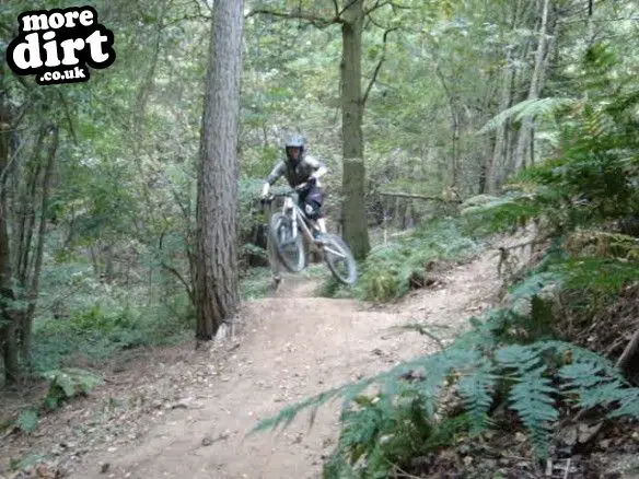 Ribbesford Bike Park