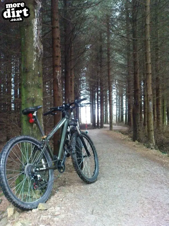 Red Trail - Coed Llandegla Forest