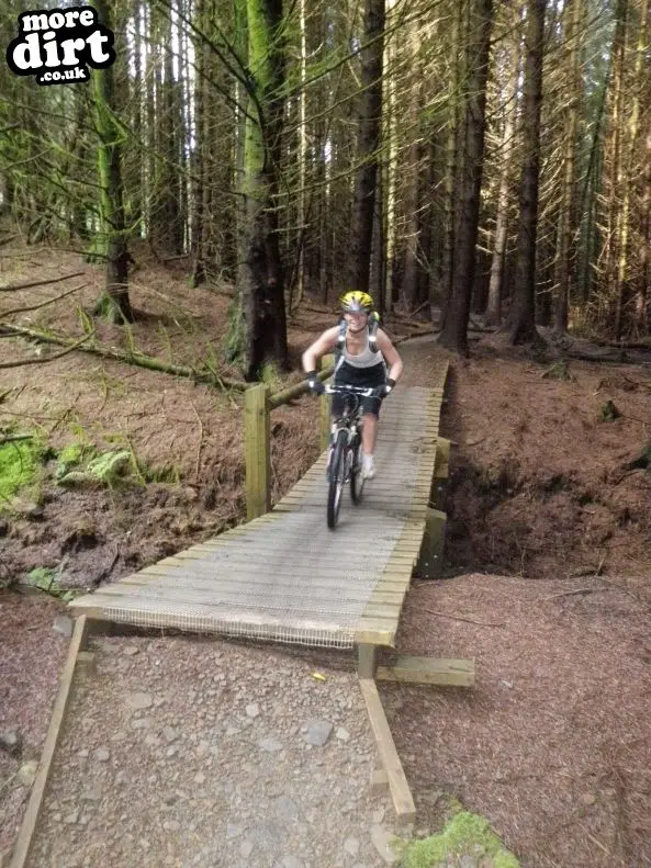 Whites Level Trail - Afan Forest