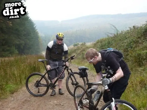 Penhydd Trail -  Afan Forest