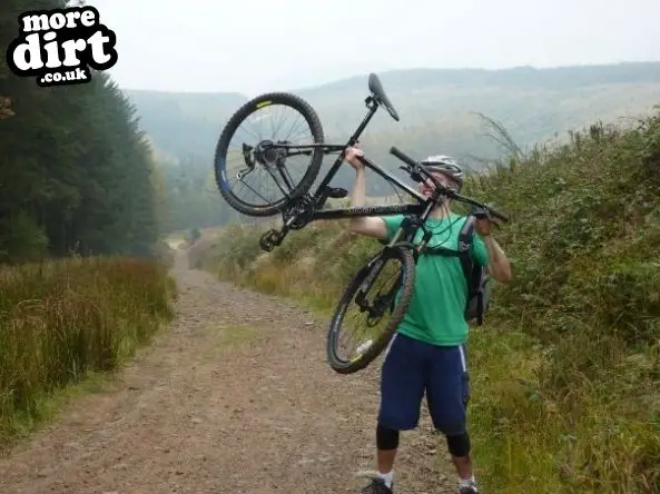 Penhydd Trail -  Afan Forest