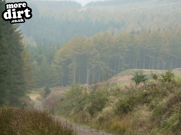 Penhydd Trail -  Afan Forest