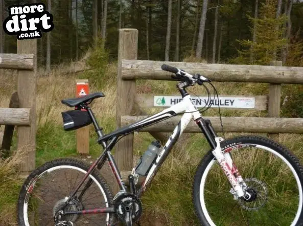 Penhydd Trail -  Afan Forest