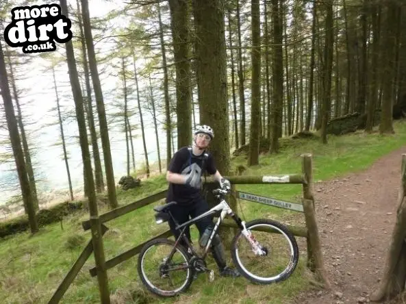 Penhydd Trail -  Afan Forest