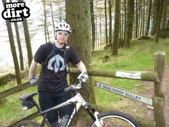 Penhydd Trail -  Afan Forest