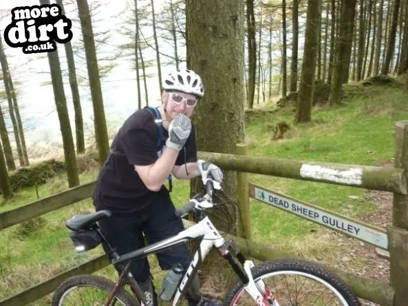 Penhydd Trail -  Afan Forest