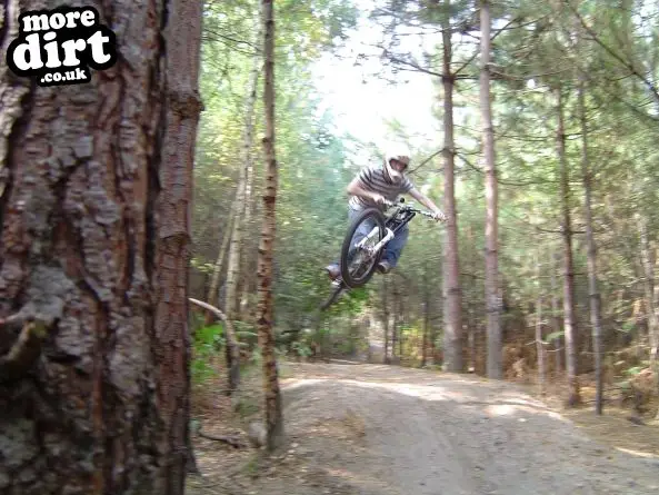 Swinley Forest Mountain Bike Centre