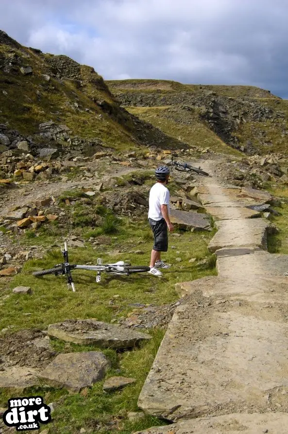 Lee Quarry Mountain Bike Trails