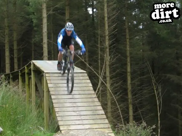 Black Trail - Coed Llandegla Forest