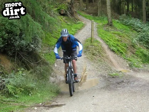 Black Trail - Coed Llandegla Forest