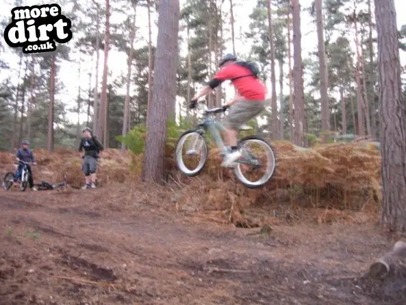 Swinley Forest Mountain Bike Centre